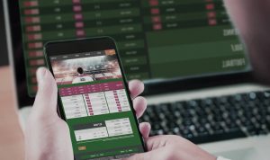 apostas online brasil